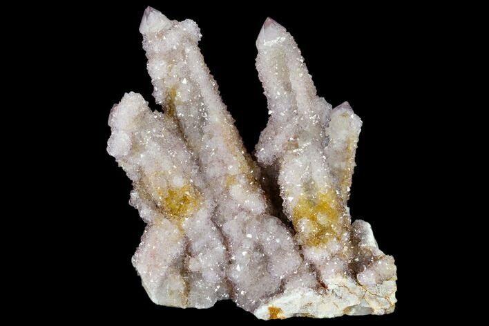 Cactus Quartz (Amethyst) Cluster - South Africa #115129